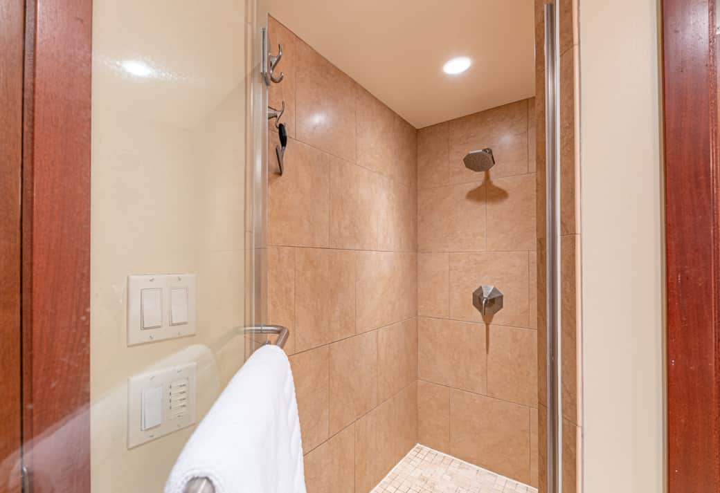 Master Bathroom Shower