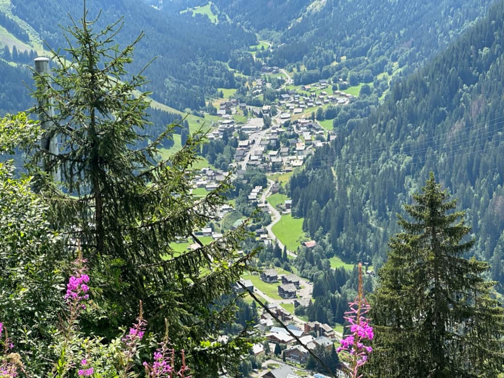 Summer hikes with views