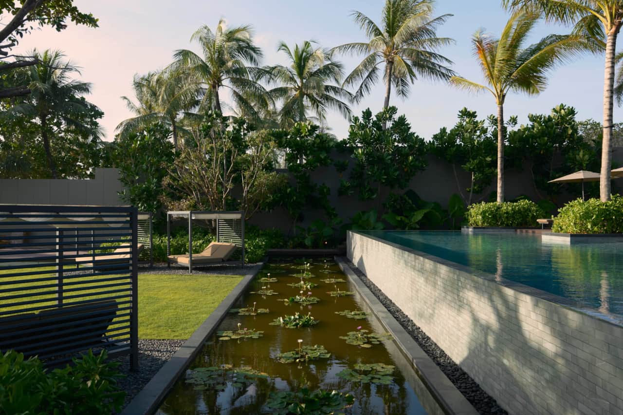 The Lotus Pond