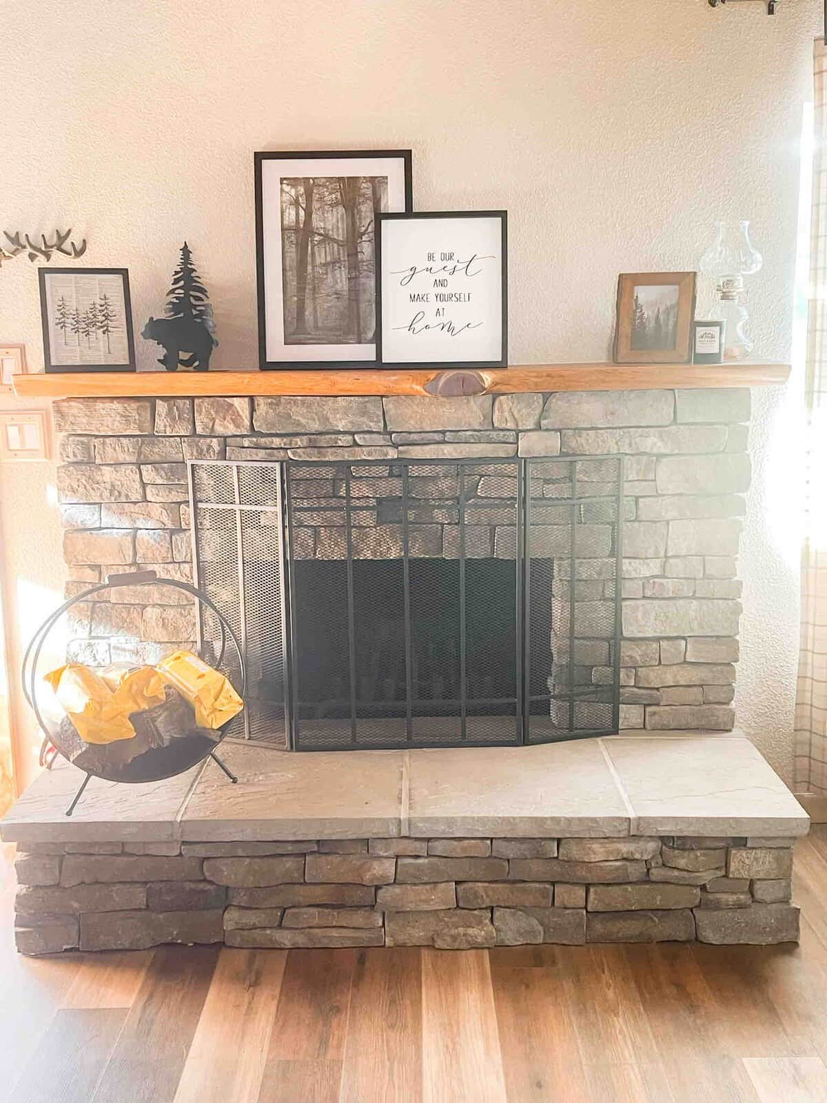 Downstairs fireplace in living room 