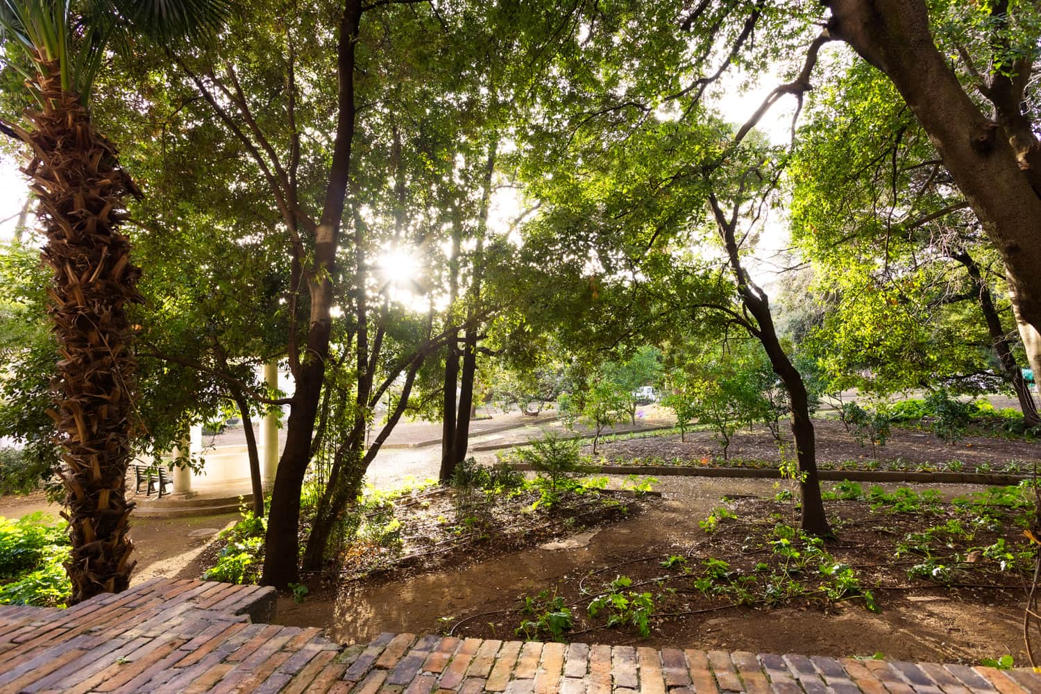 Follaky Secret Garden — Prenota il tuo soggiorno a Napoli