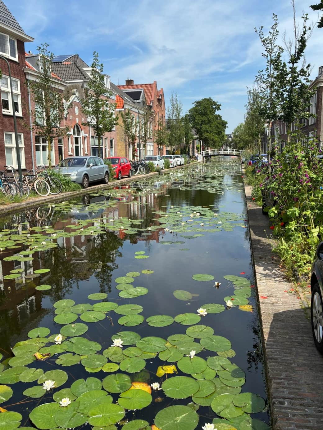 View of the canal
