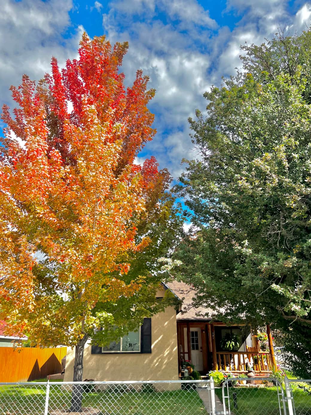 Fall colors