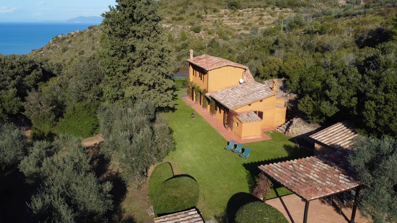 Panoramic View
