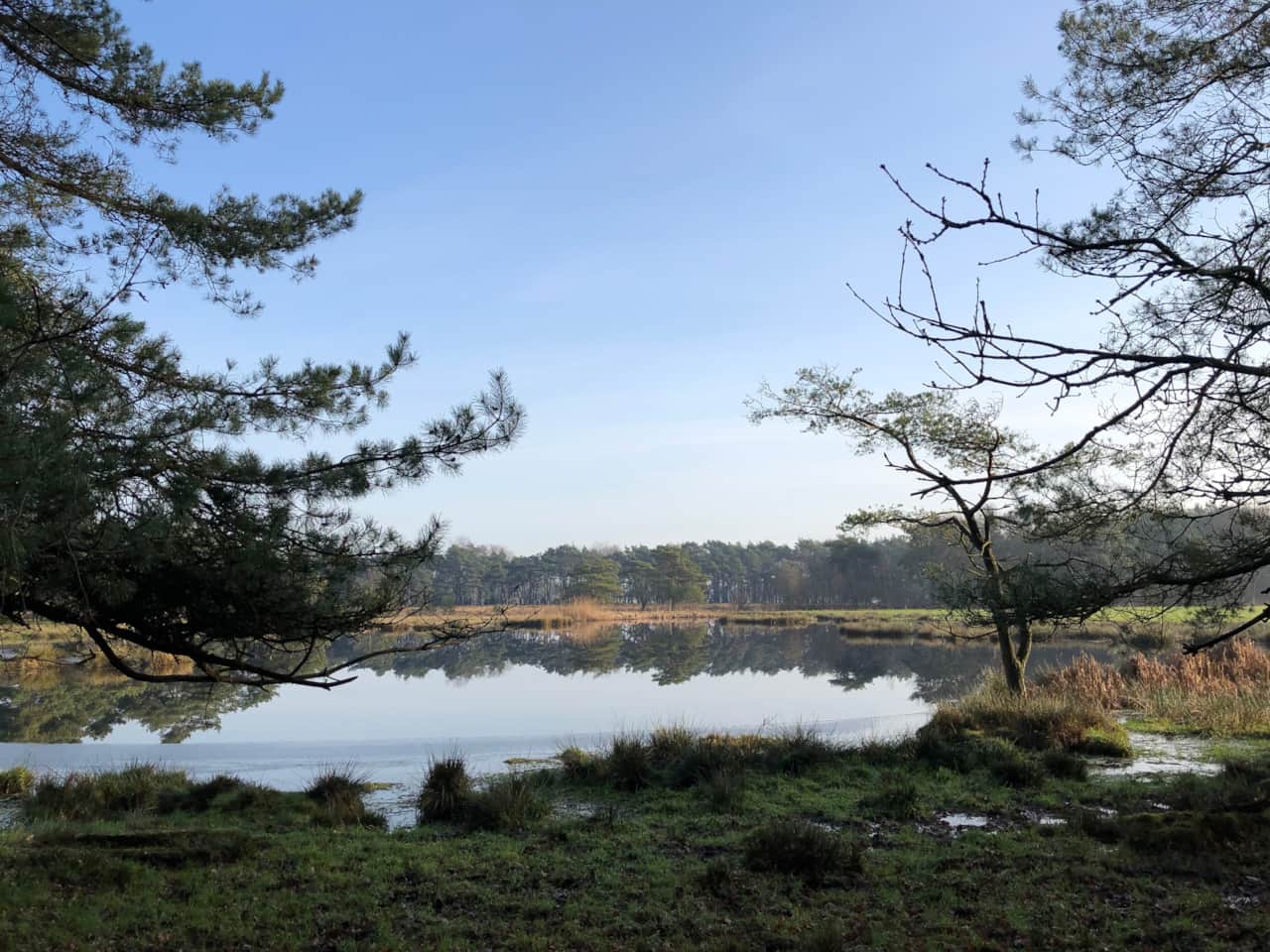 Nationaal Park Drents-Friese Wold