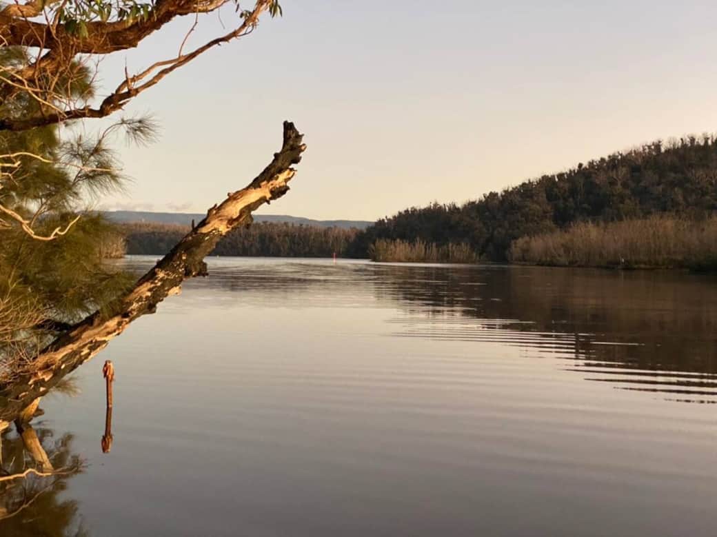 Perfection Perfection