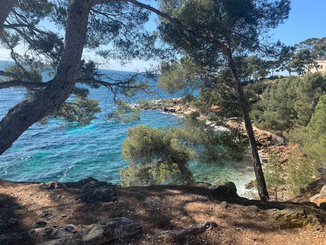 Perfect location and view at only 100 meters of walking distance!