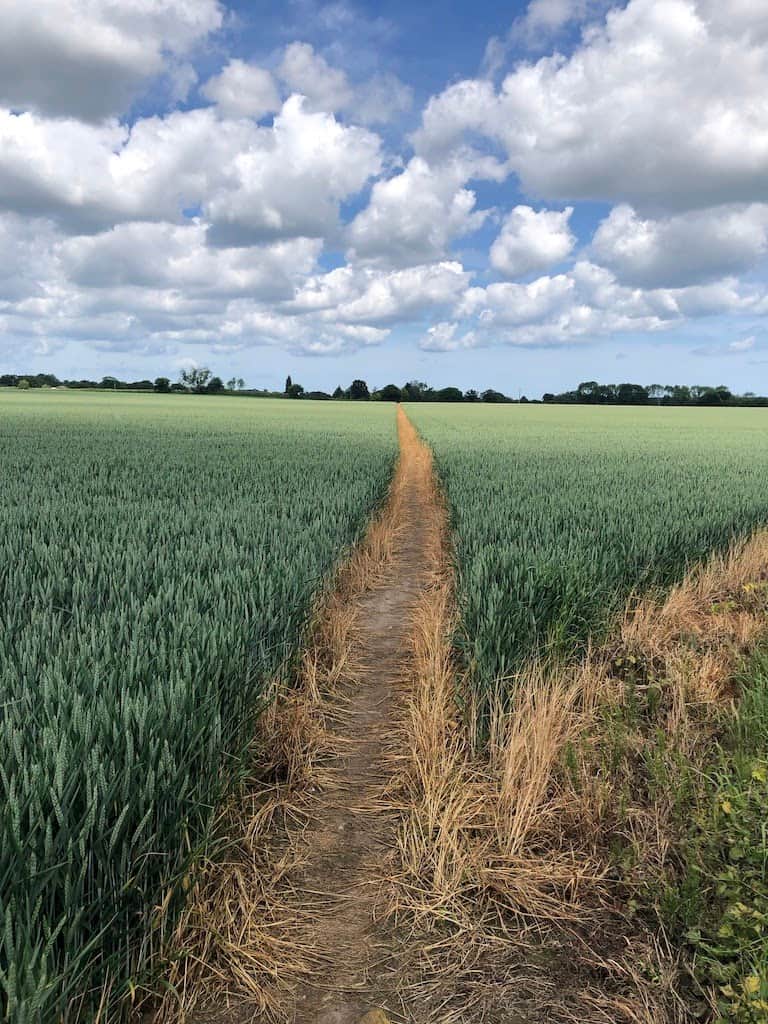 Norfolk countryside