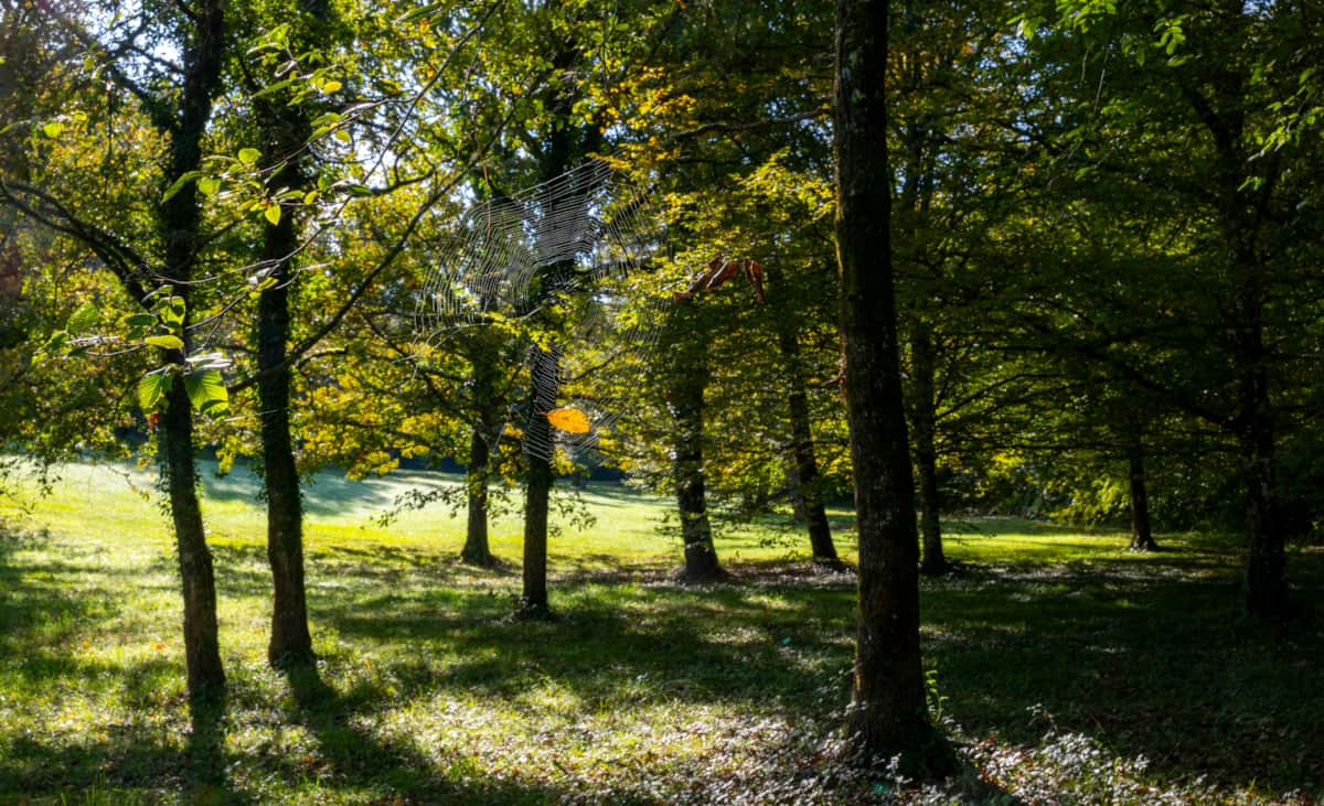 The tranquil countryside of the Lot near Saint-Médard
