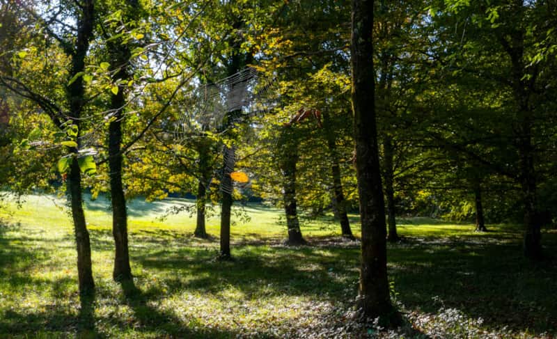 A peaceful escape at Larroque Haute Gîtes