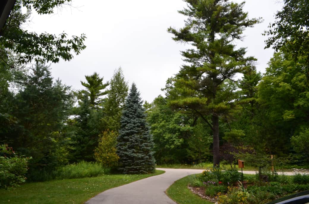 Front yard