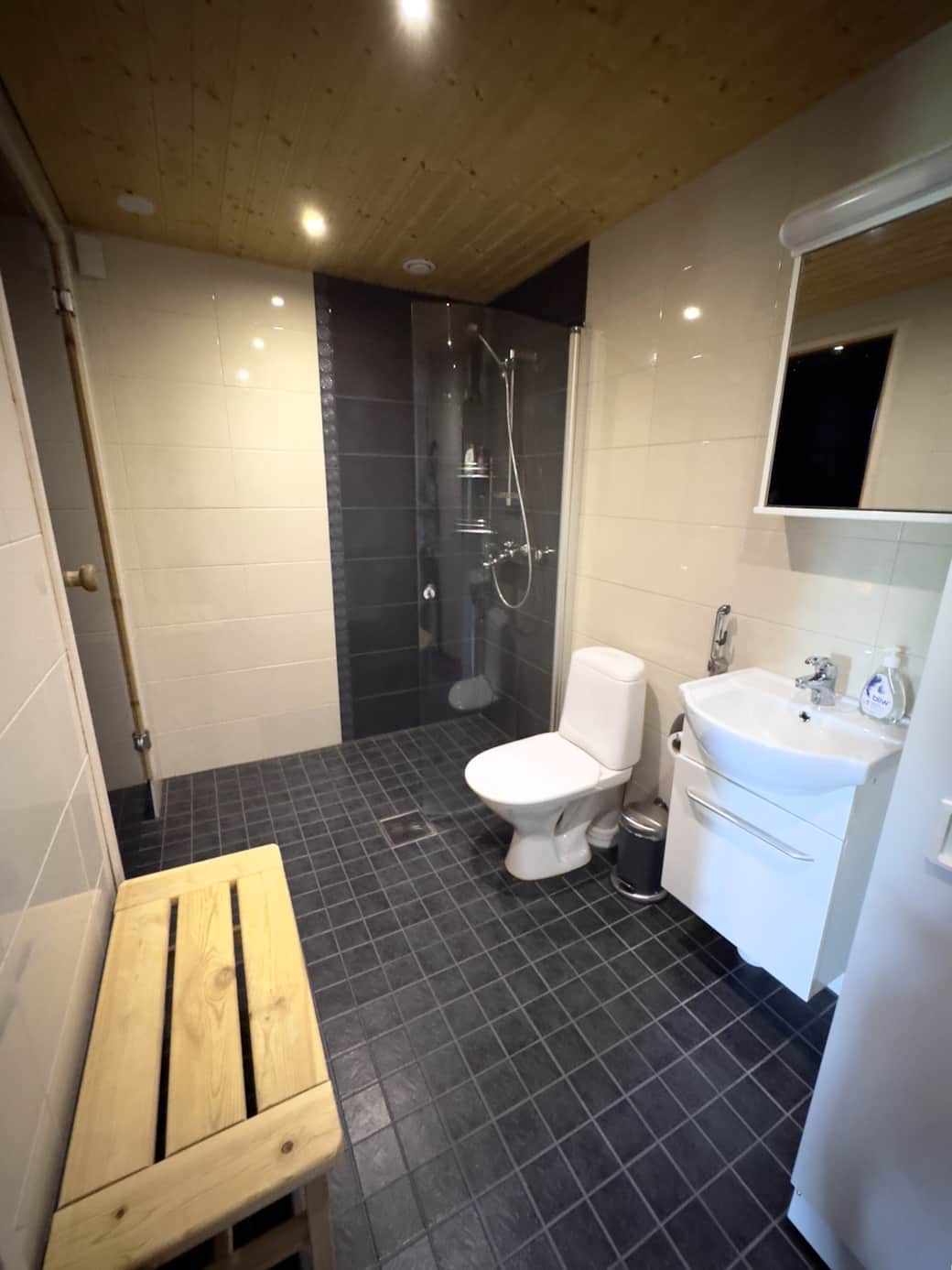 Bathroom with clothes drying cabinet and entrance to sauna. Bathroom with clothes drying cabinet and entrance to sauna.