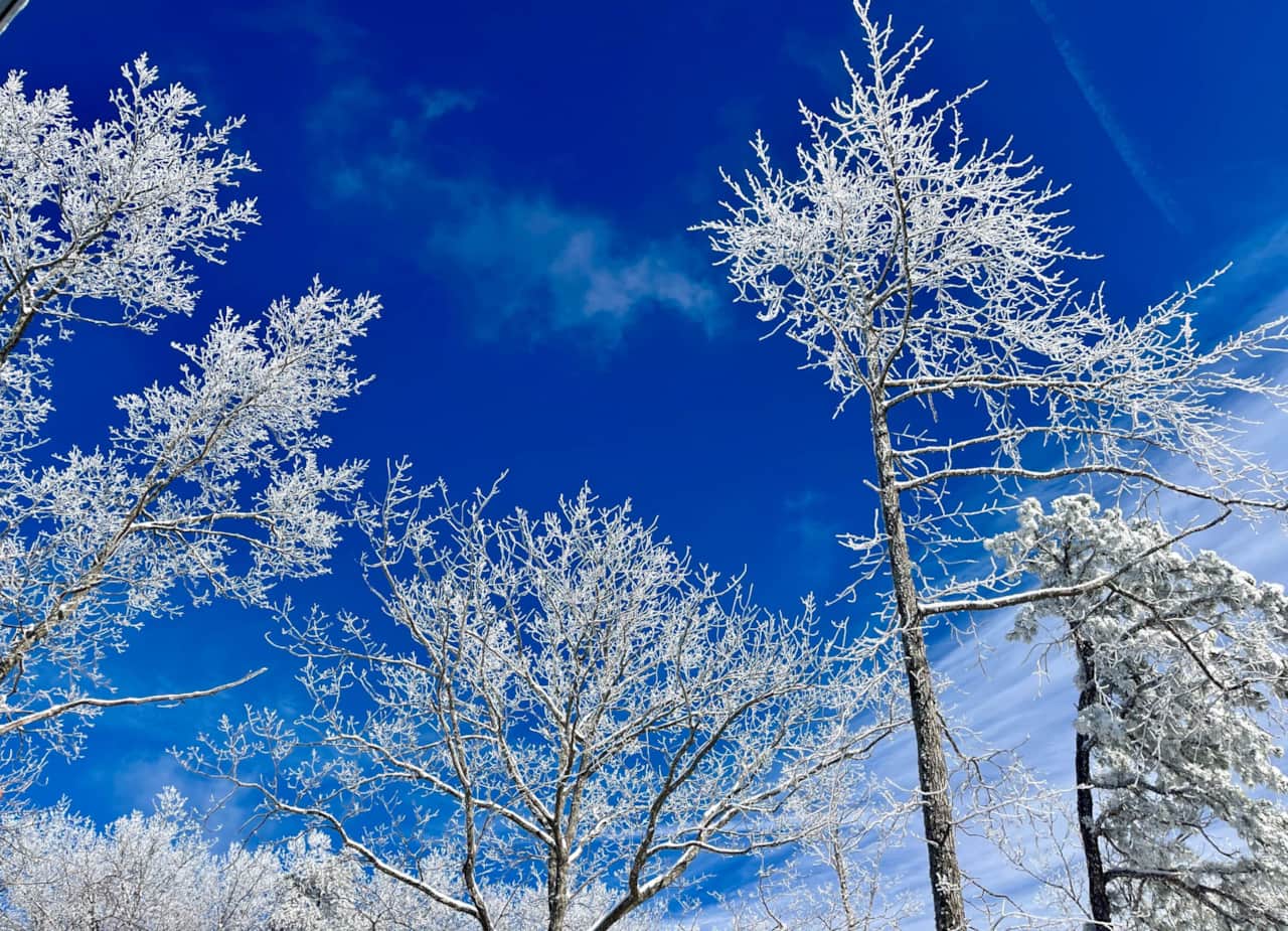 Wintertime magic & epic sledding