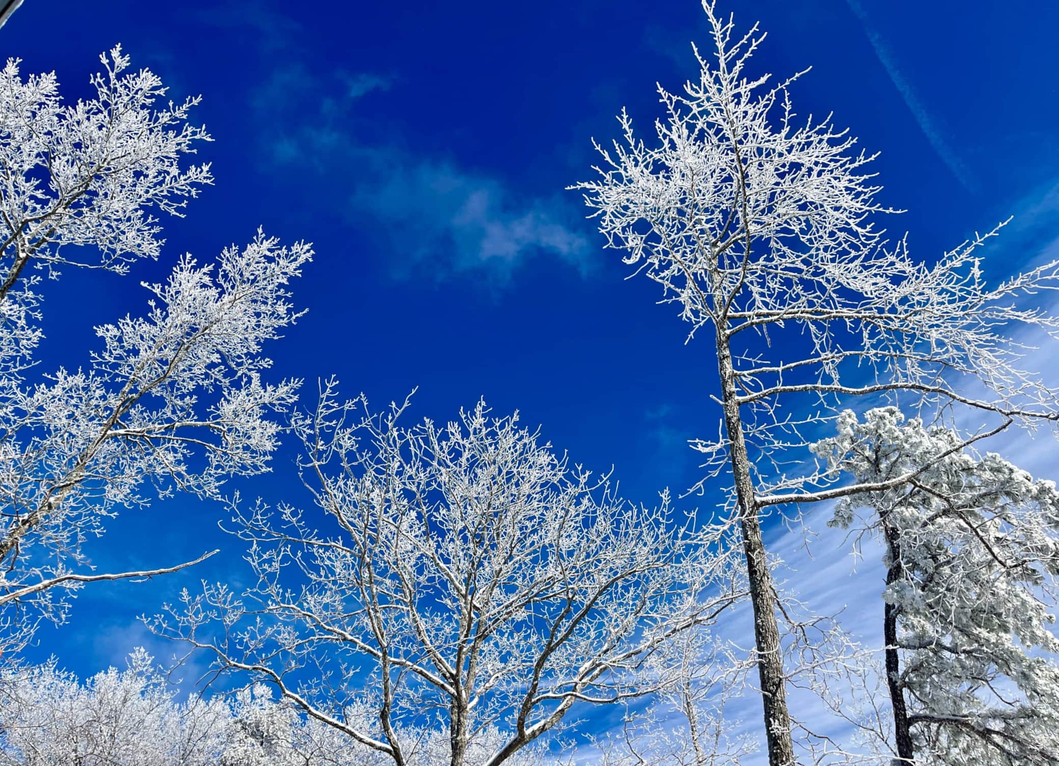 Wintertime magic & epic sledding