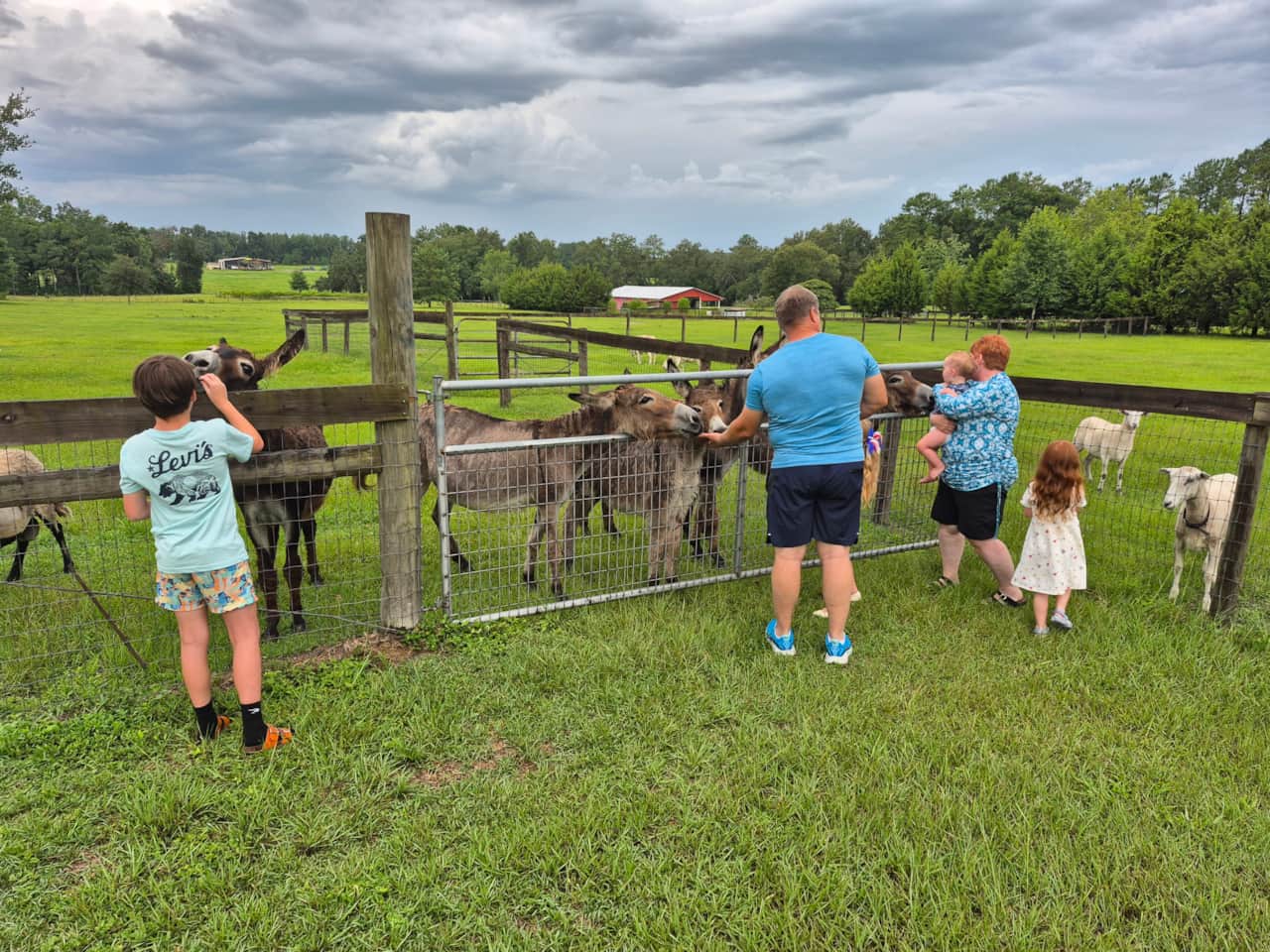 Family Feeding Animals