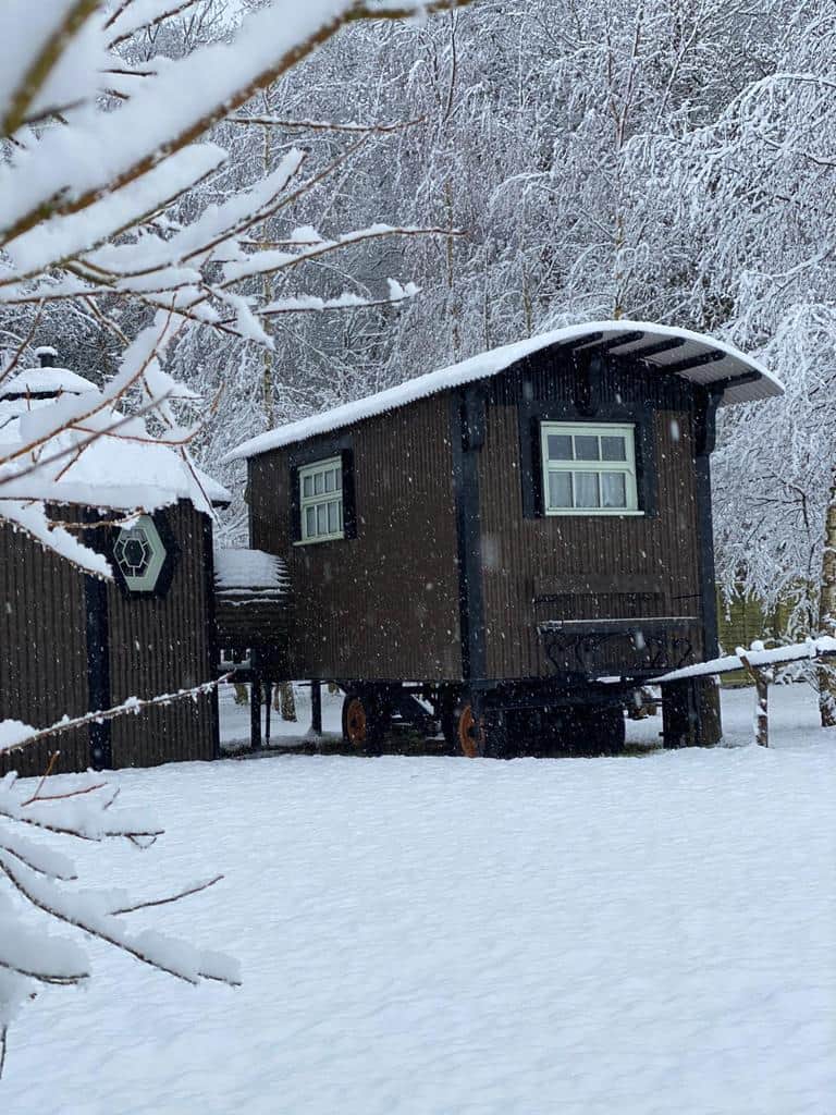 The sheep retreat in winter - christmas glamping holidays