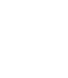 Coyote Zipolite
