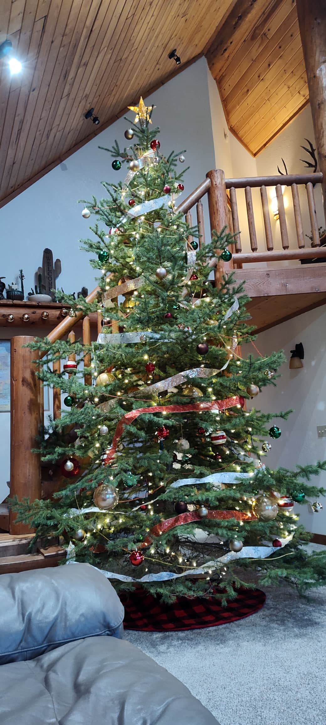 Tall Christmas trees are tough to photograph, but sure are pretty! Tall Christmas trees are tough to photograph, but sure are pretty!