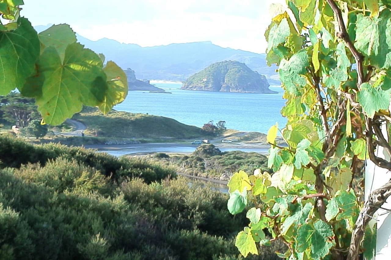 Ocean view