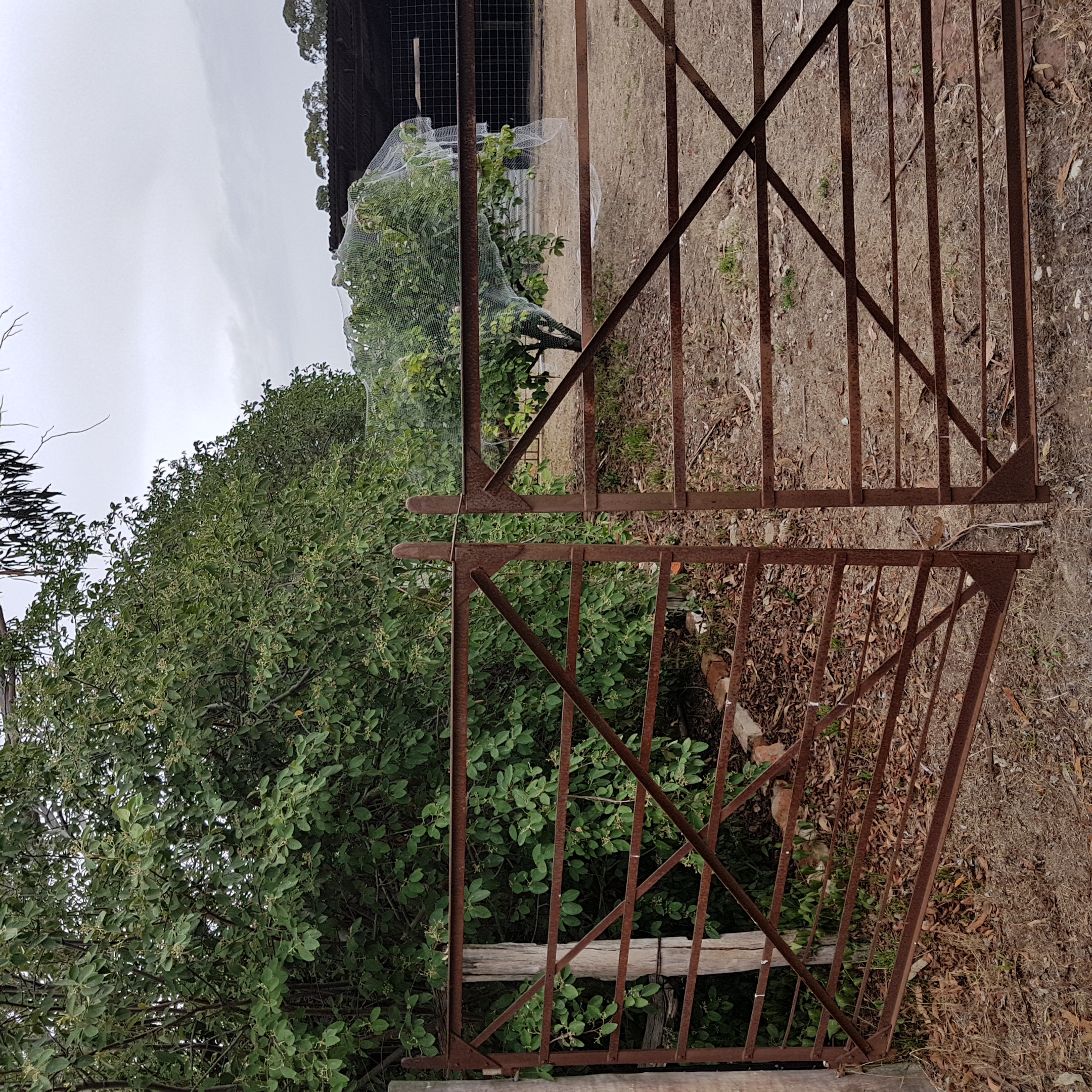 Winter Creek Cottage