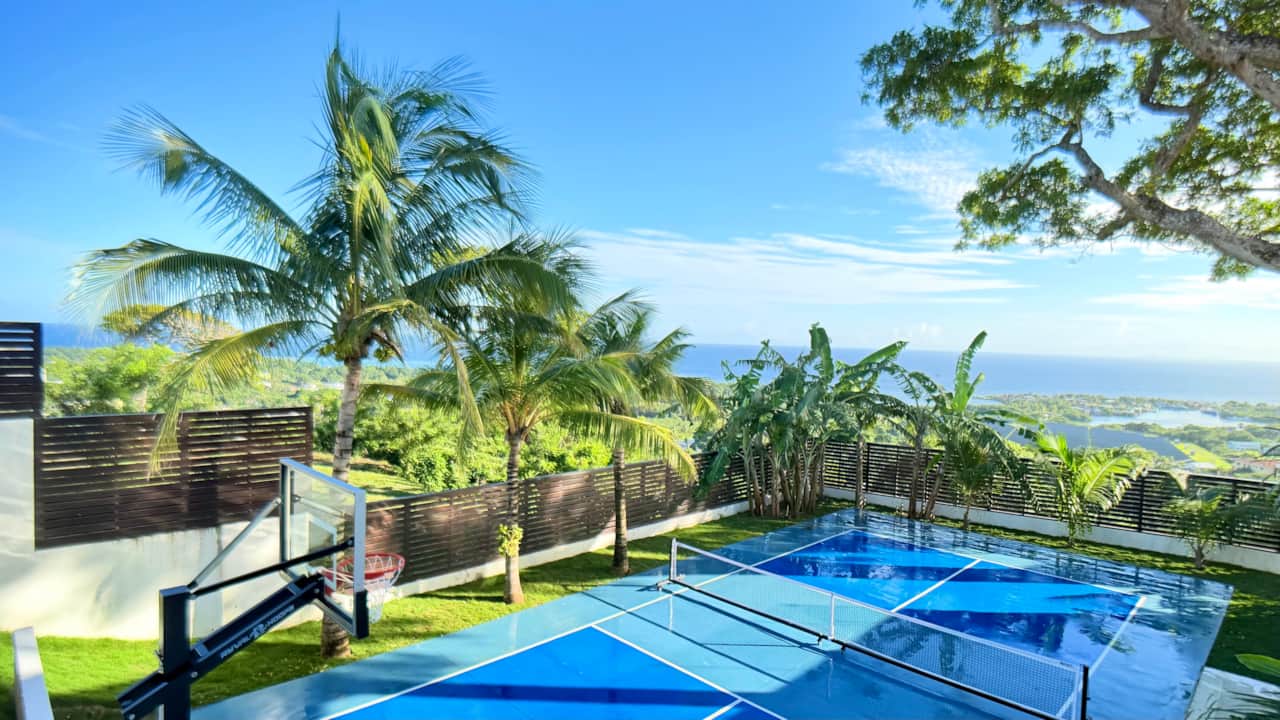 Pickleball/Basketball Court 