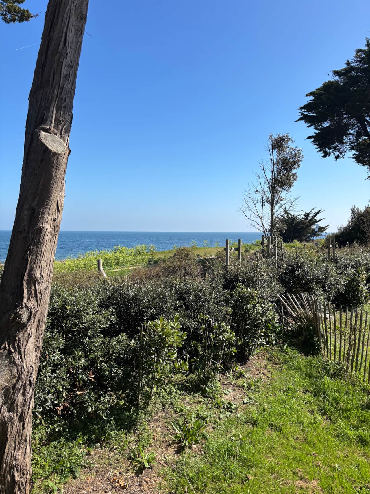 Magnifique vue mer