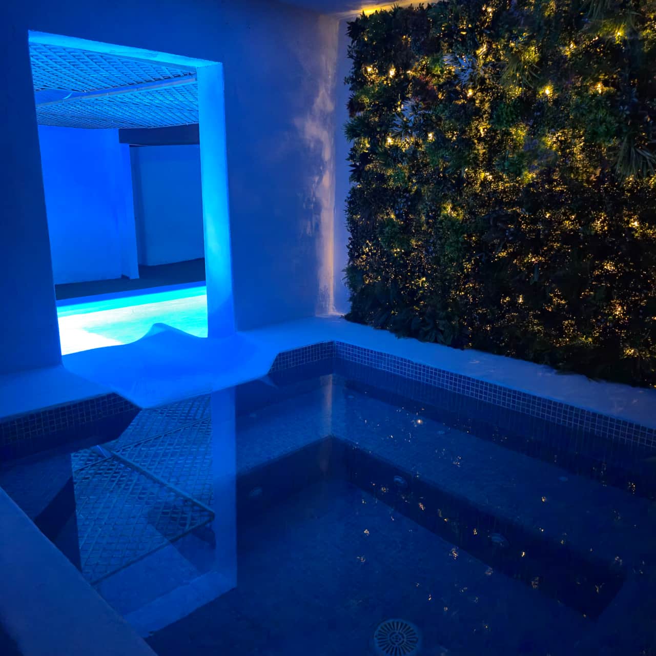 Jacuzzi climatizado interior