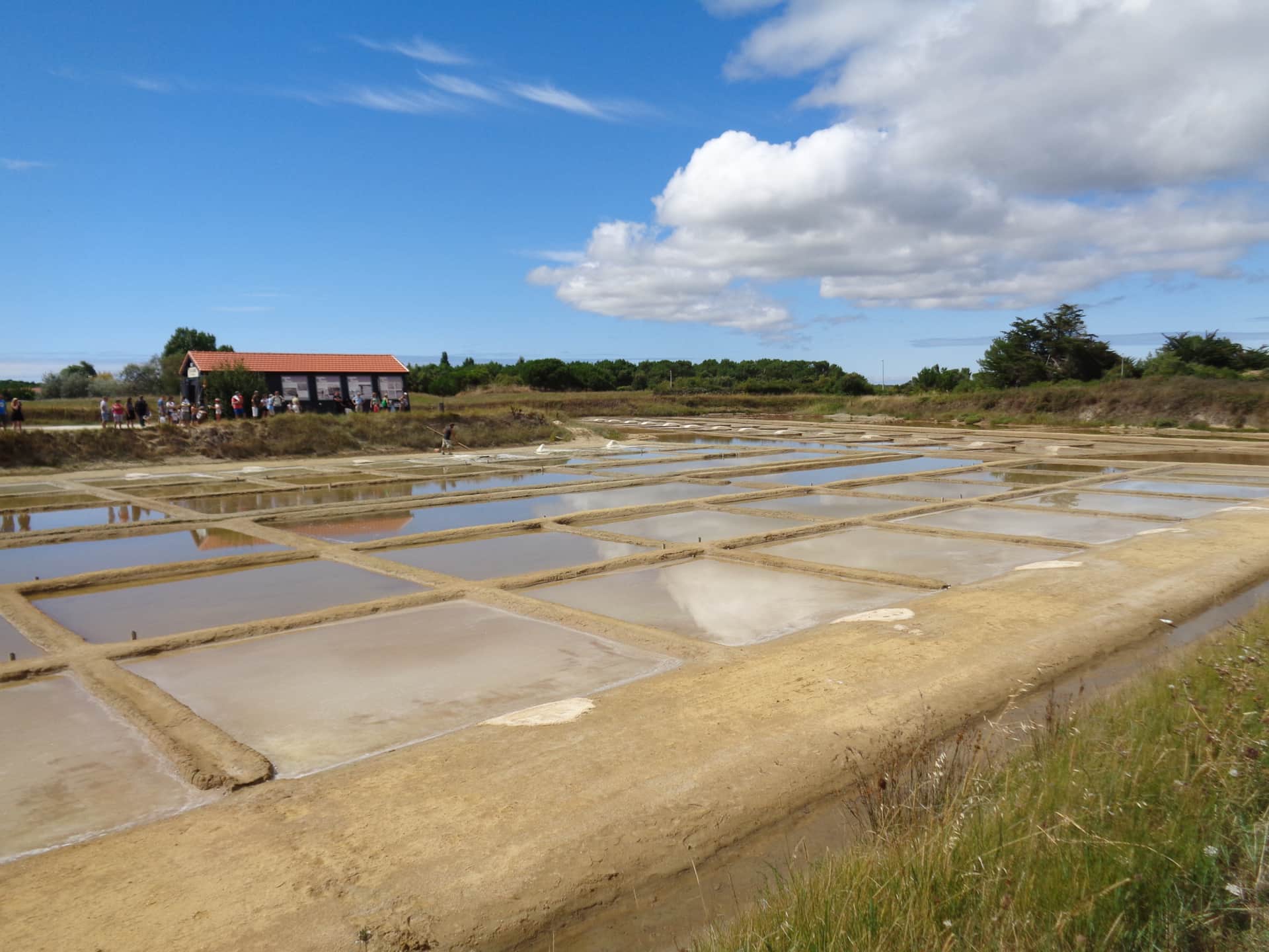 Salzwiesen von Port des Salines auf der Île d’Oléron