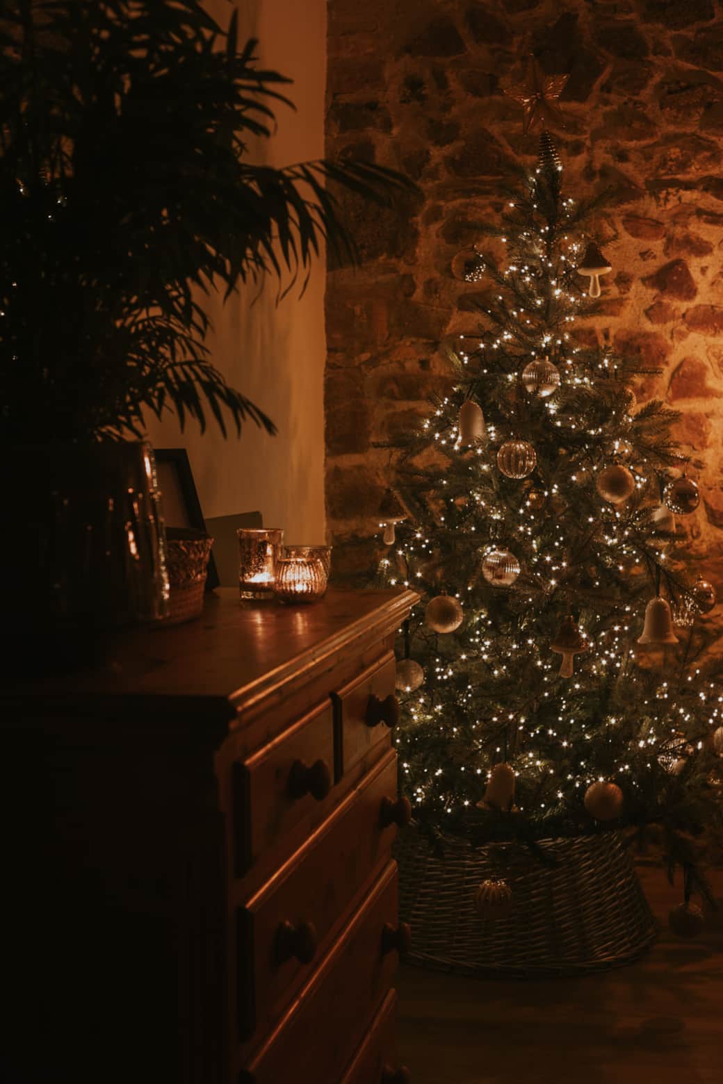 Warm festive glow at the bothy