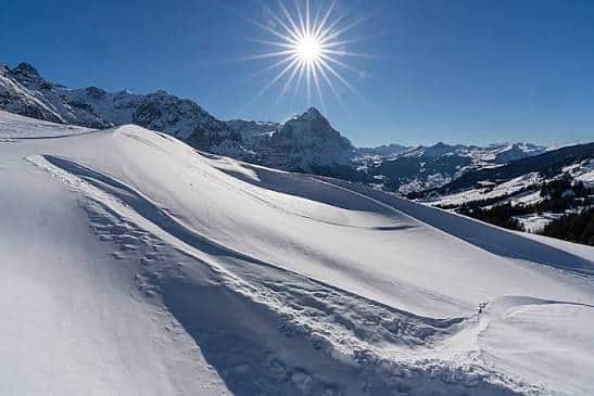 Powder and freeride skiing in Grindelwald