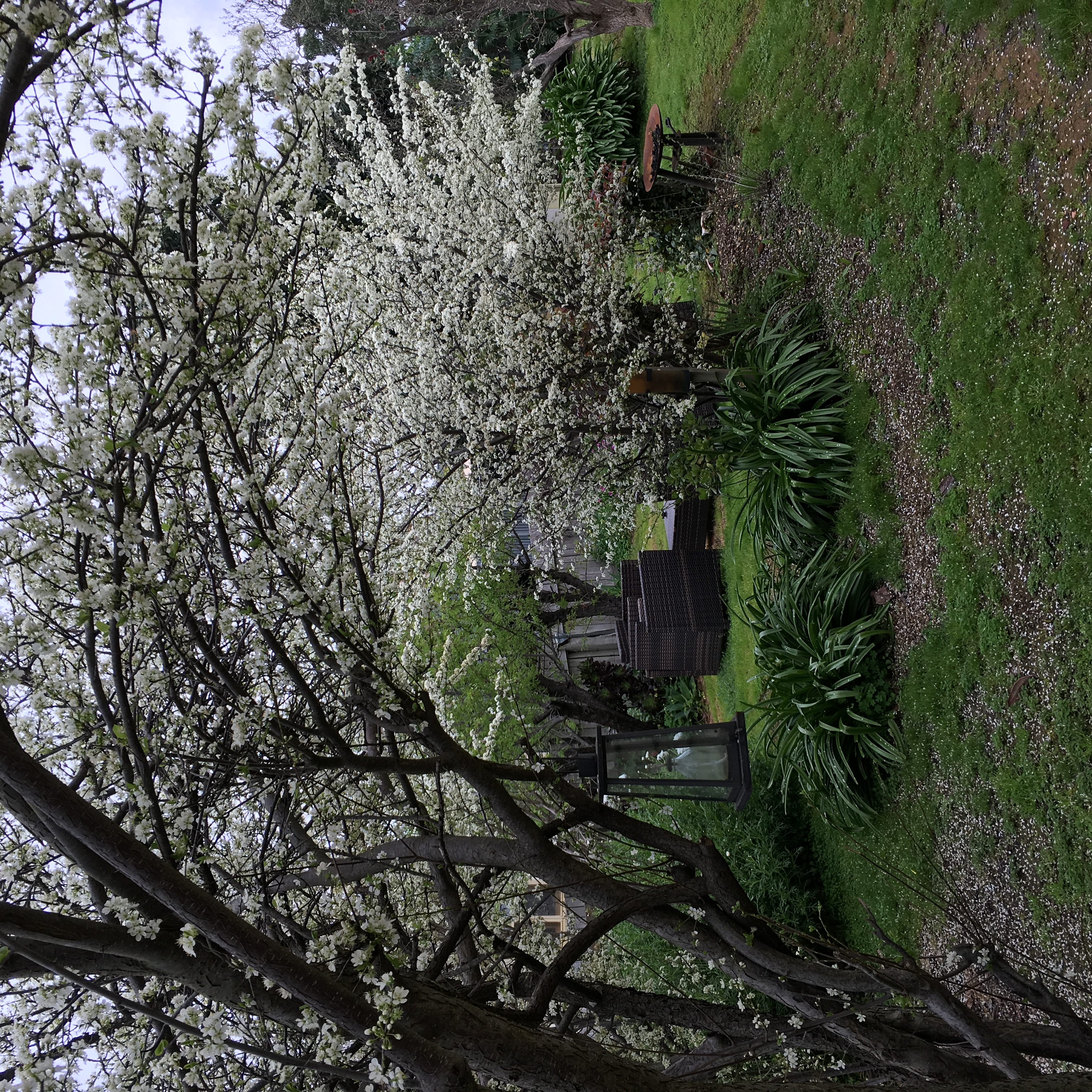 Smiths Cottage Garden