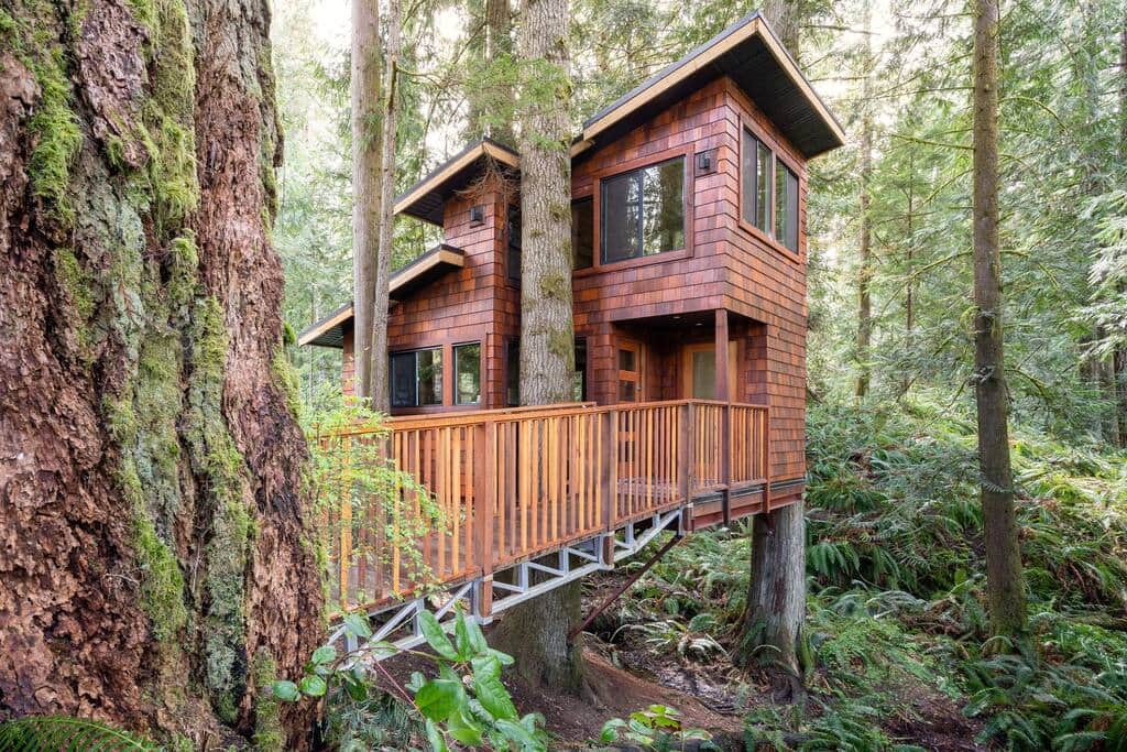 Treehouse