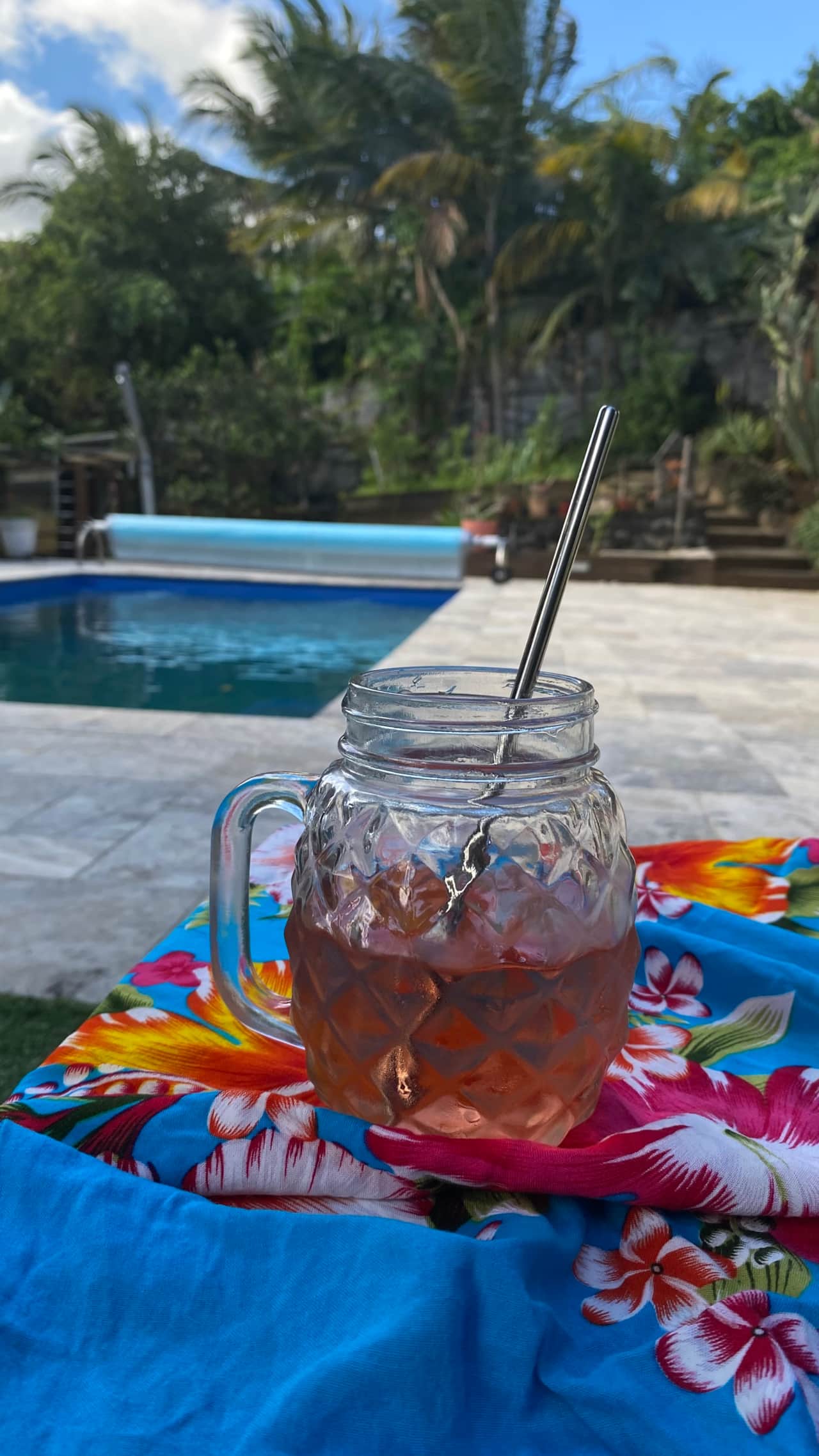 VUE PISCINE COCKTAIL