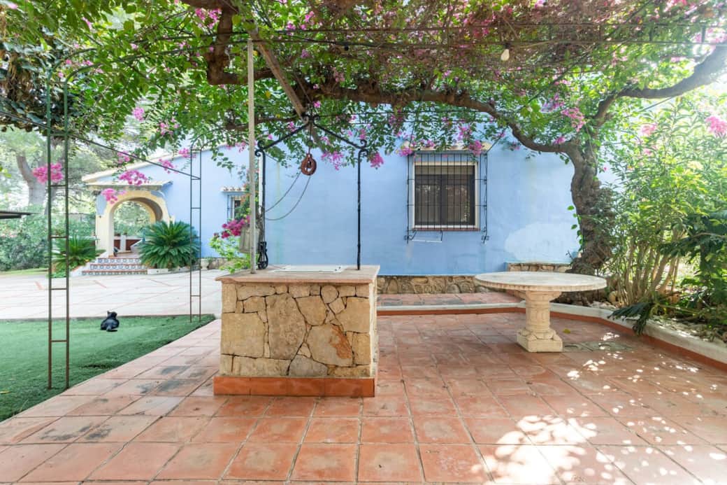 Terraza con gato y gran buganvilia 