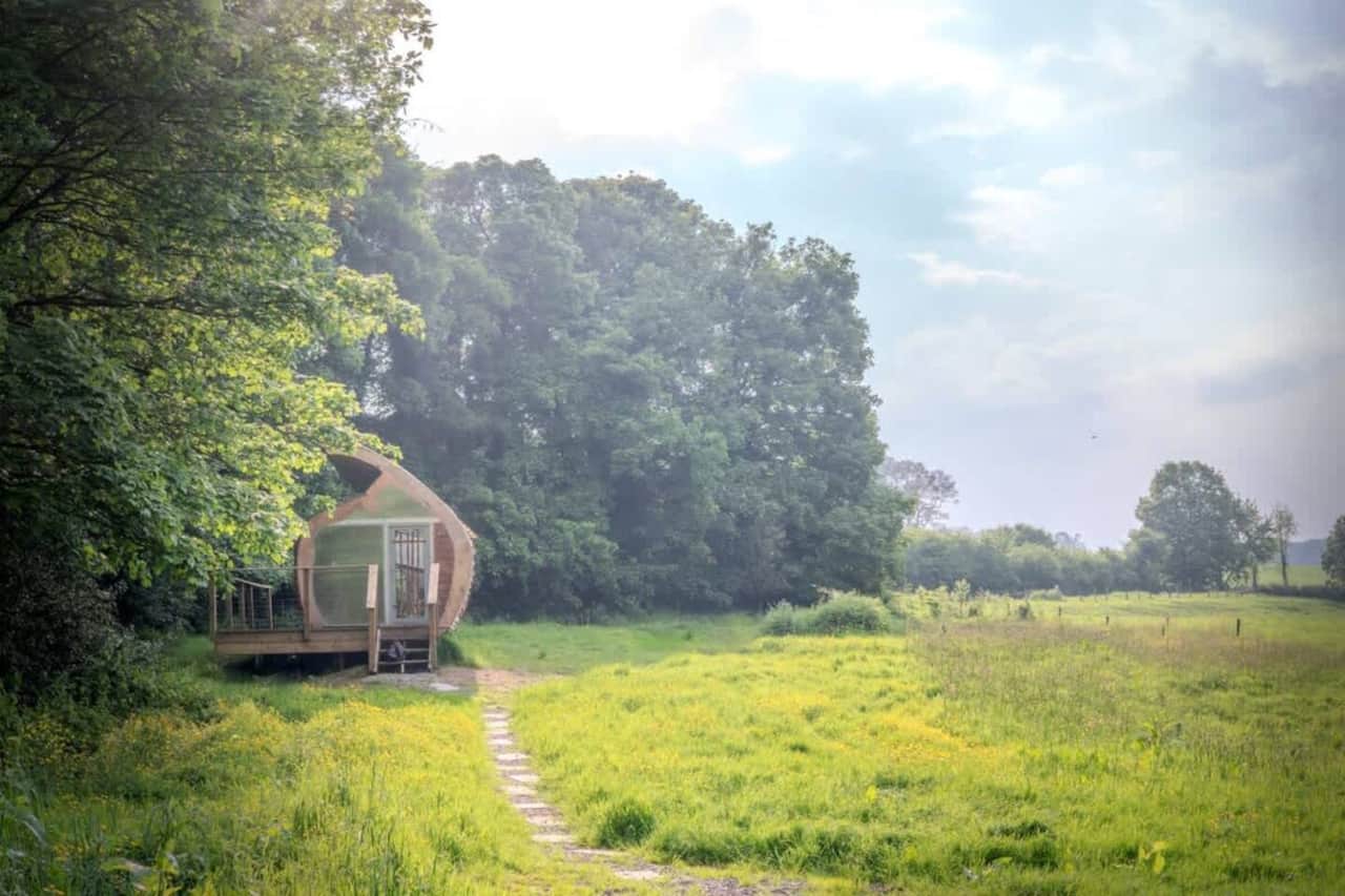 Monocoque Cabin — The approach to the cabin in early summer, across the wildflower meadow that surrounds the plot