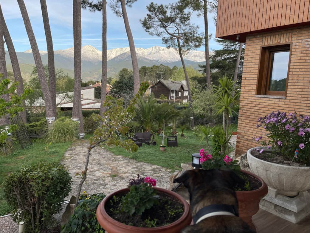 Preciosa vista