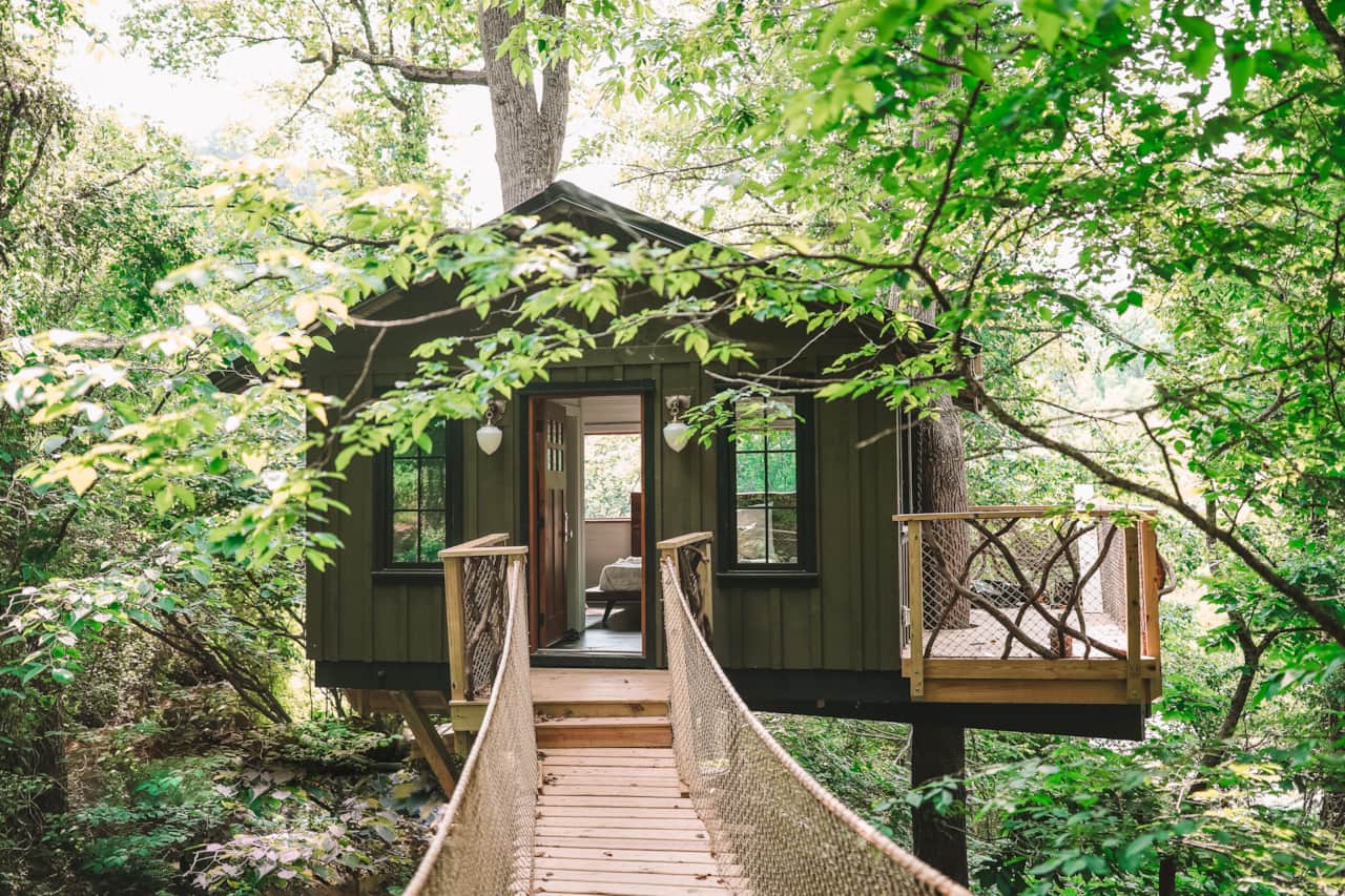 Nest Treehouse- North Carolina Treehouse