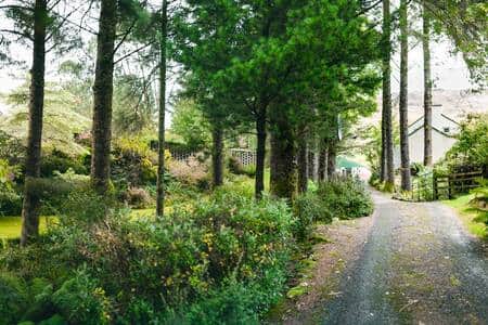 Approach to the cottage
