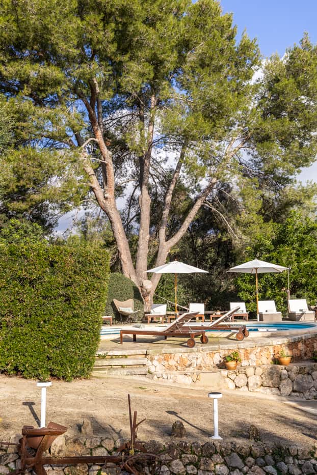 View of the pool with the natural pine shadow and two umbrellas .