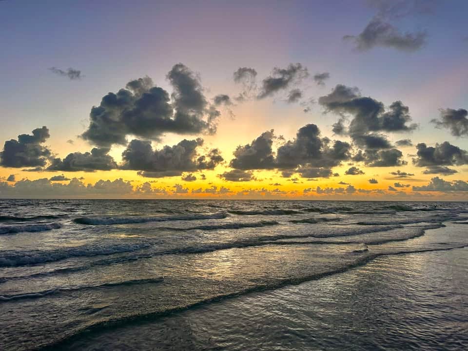 https://l.icdbcdn.com/oh/d4dae1c8-69e6-471e-8187-14d99258d333.jpg?w=2080-1