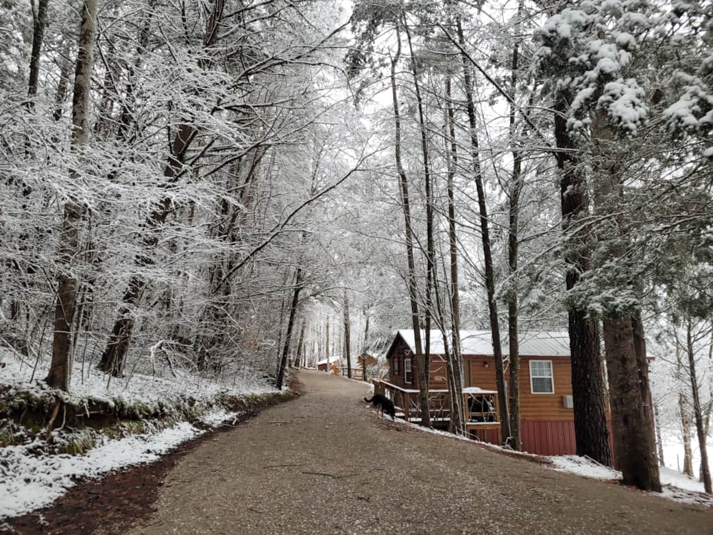 The Doghouse on Cabin Row The Doghouse on Cabin Row