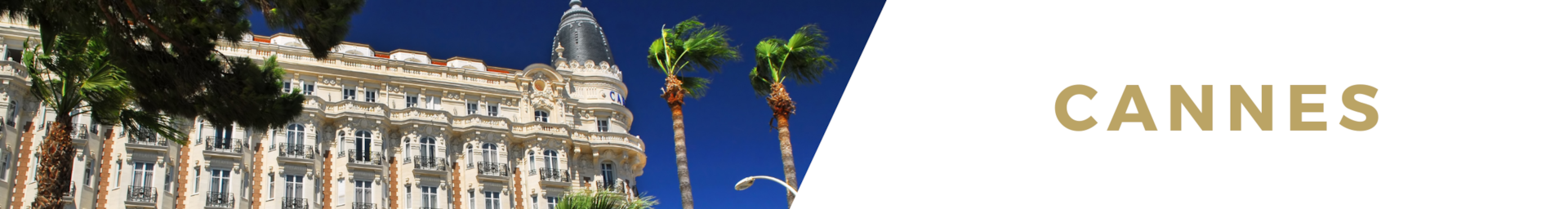 Cannes Luxury Villa Rentals