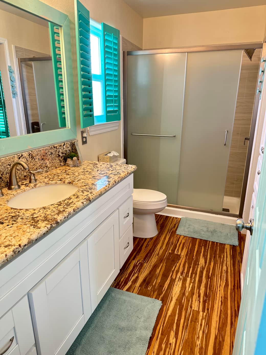 Master bath w/ shower