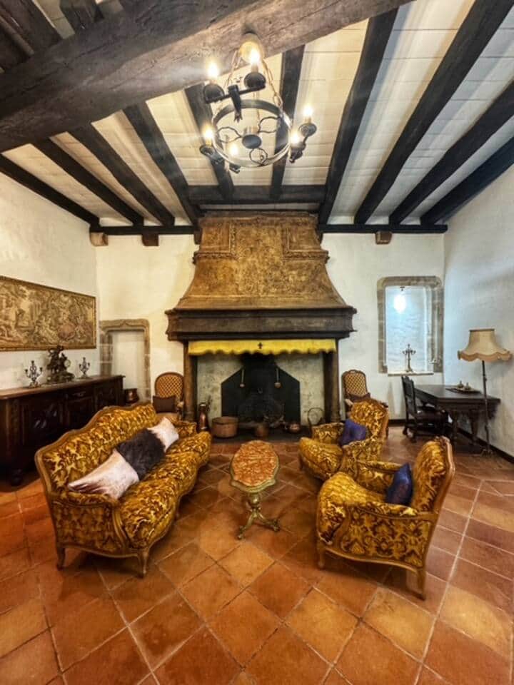 A huge leaving aria with XIII century  antique fireplace .