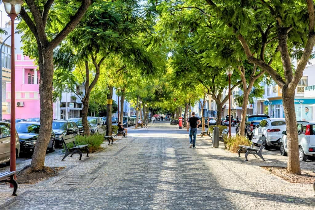 Avenida de Loulé | Tree-Lined Avenue Nearby