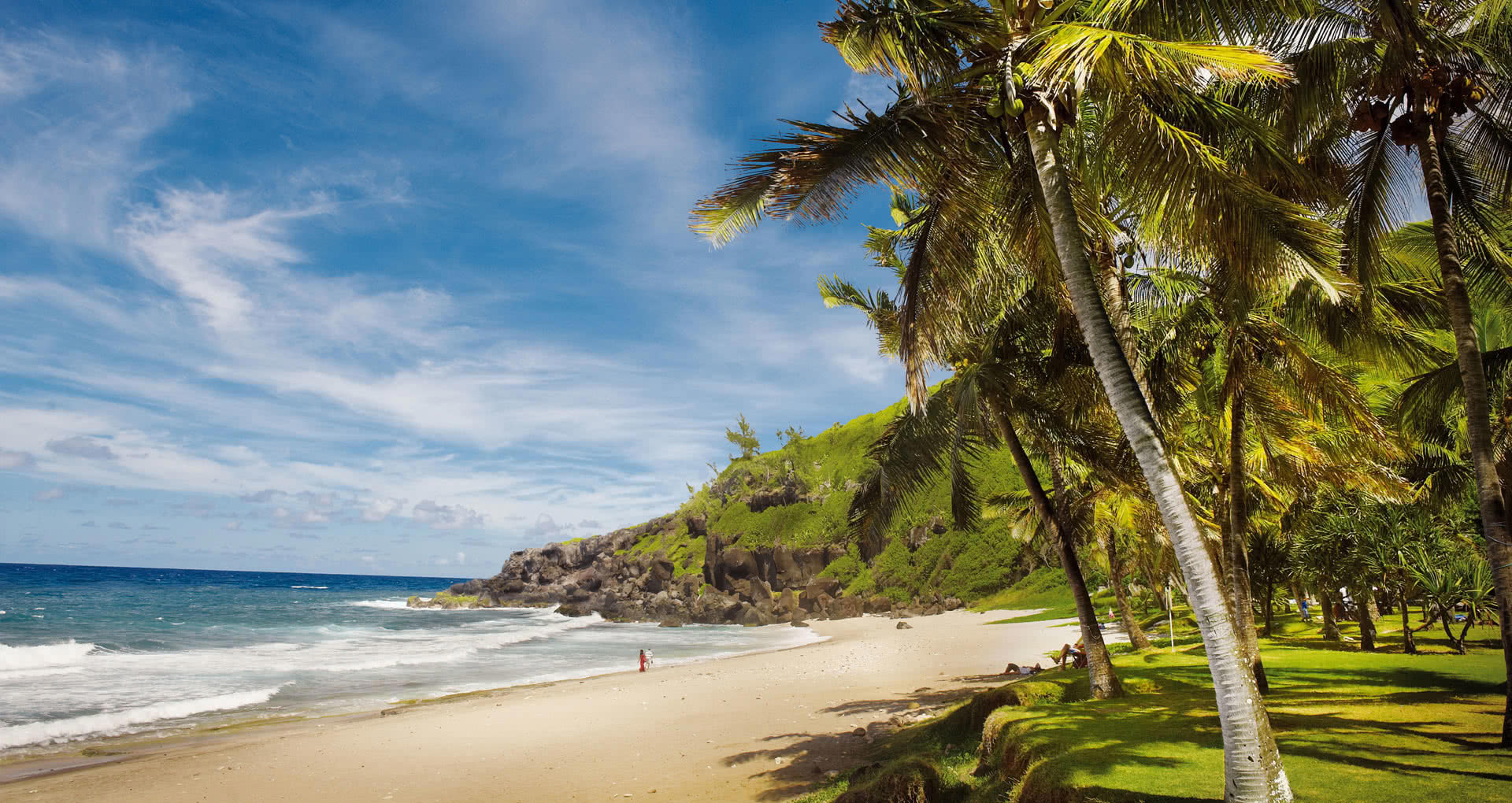 plage Grand Anse palmier sable blanc