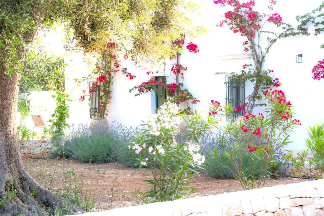 Flowers and plants throughout the grounds 