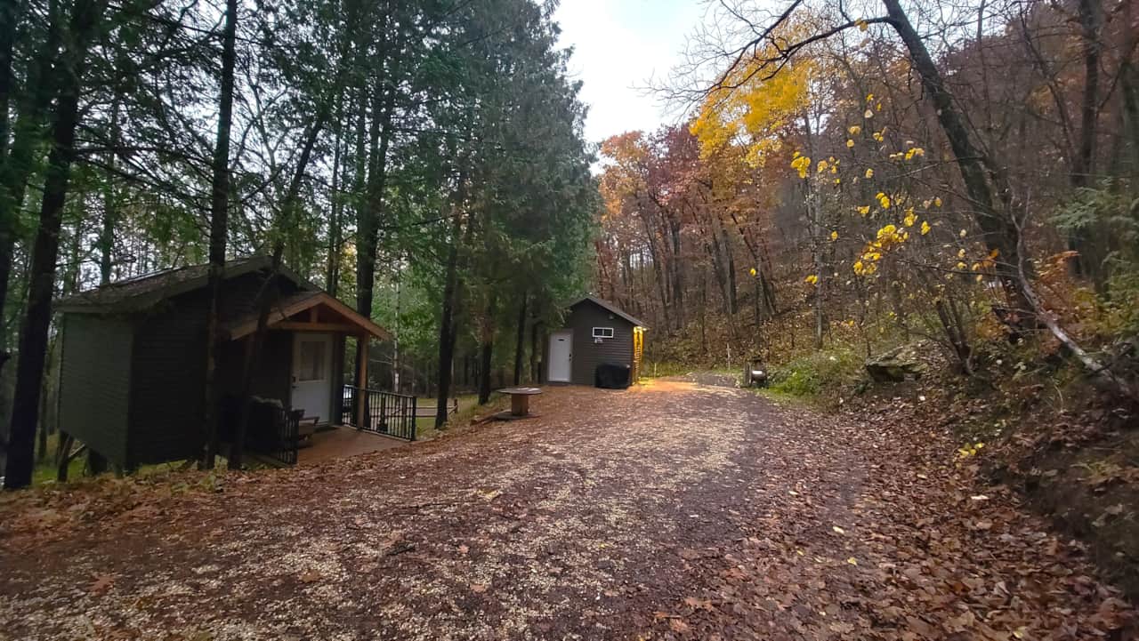 Entrance drive in the fall, middle treehouse cabin (left) and bathhouse (center) 