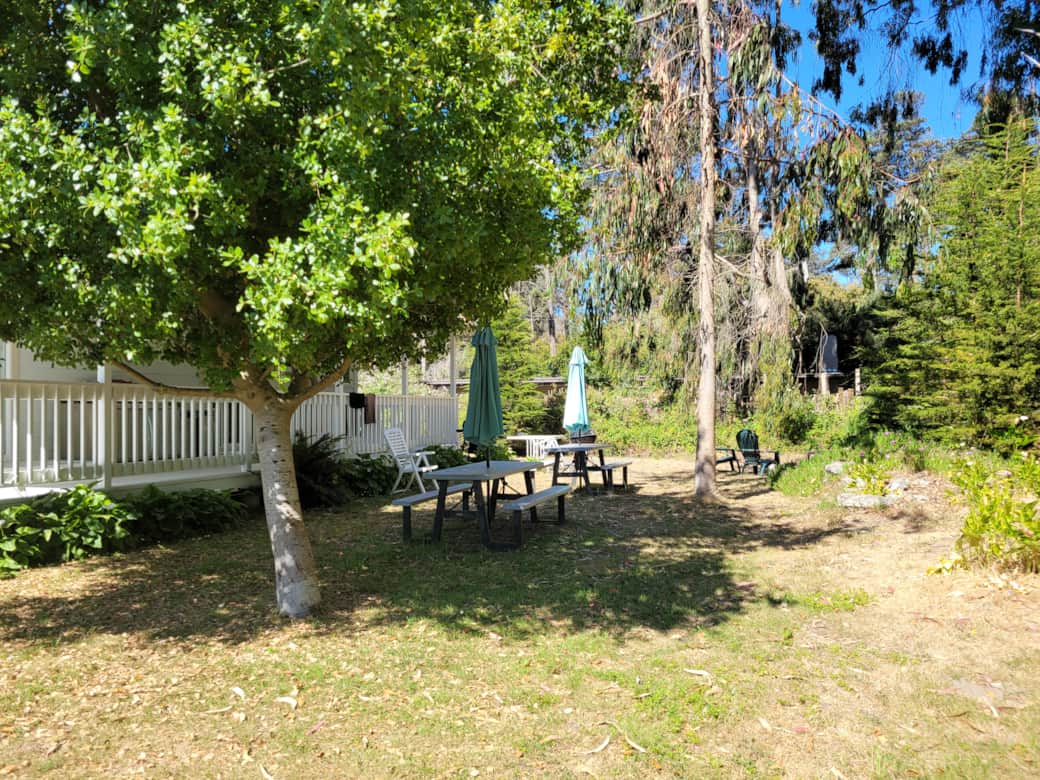 Scc backyard b