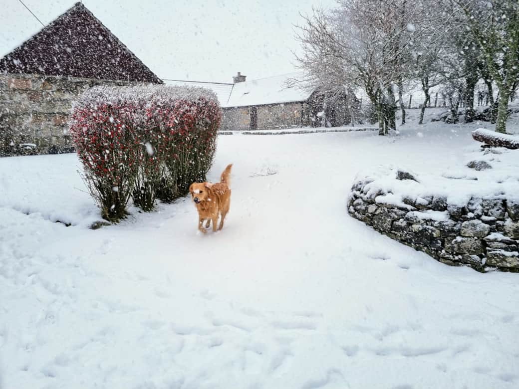 The Steading in Winter